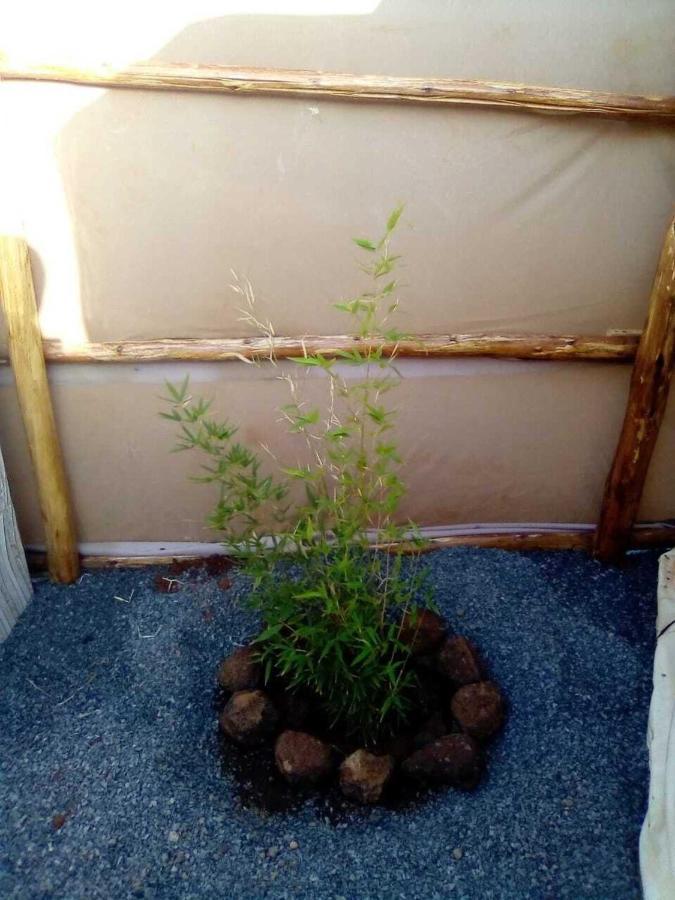 Amanya 1-Bed Leopard Tent Amboseli Zewnętrze zdjęcie